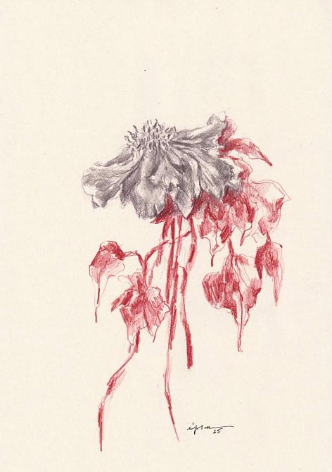 fleur 04