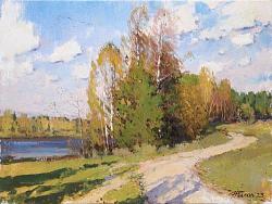 Уходящий птичий клин