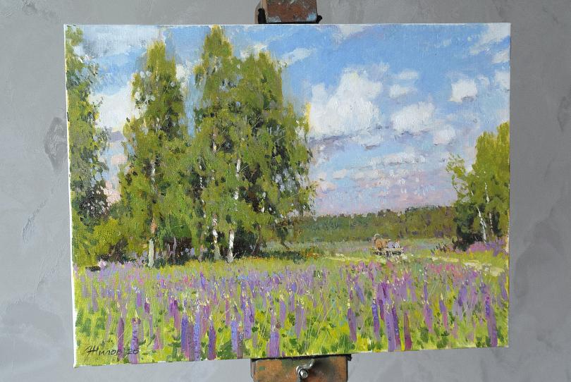 Березы. Люпины. Лето