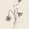 fleur 08