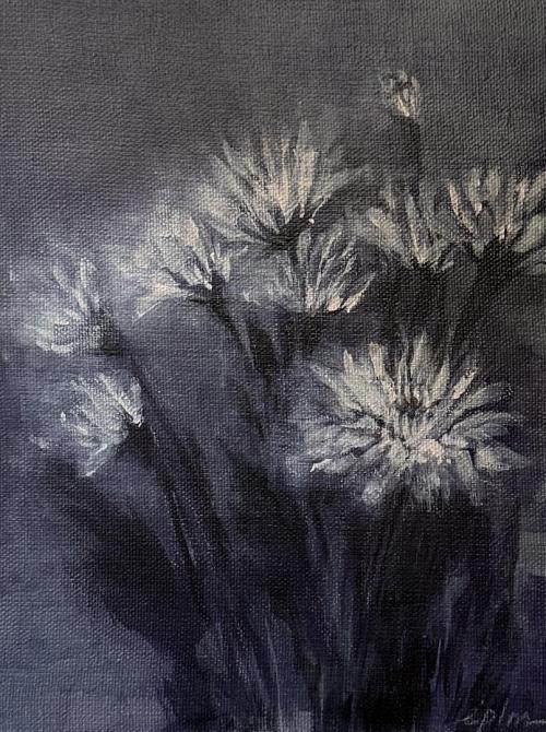 chrysanthèmes