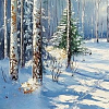 В тишине зимы