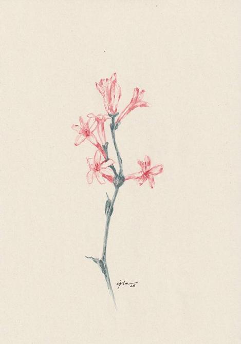 fleur 06