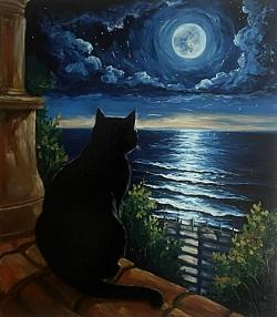 Лунный кот