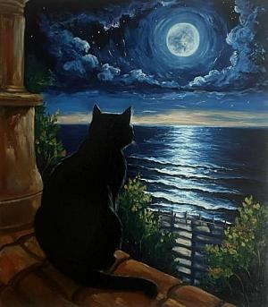 Лунный кот