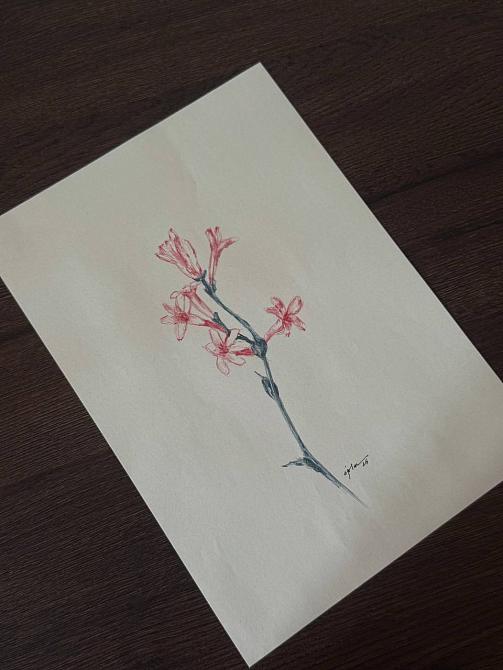 fleur 06