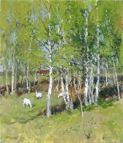 Майские березки