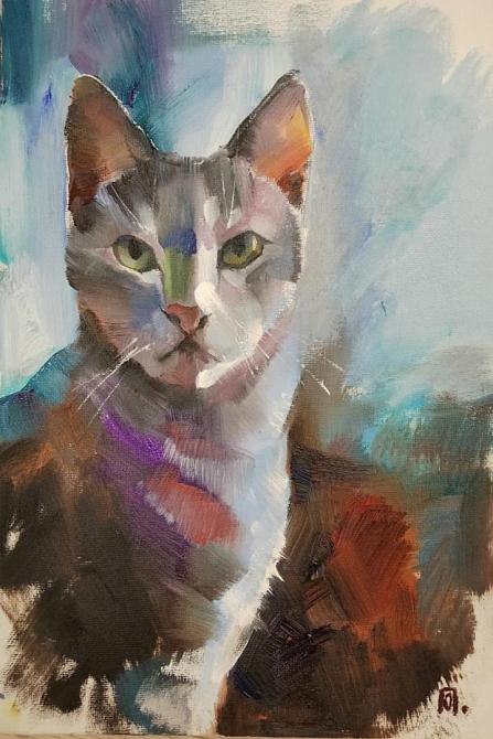кот
