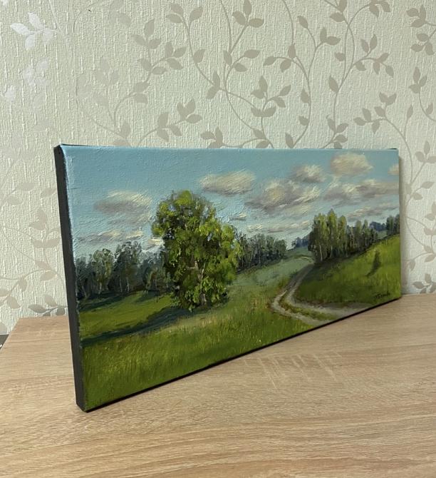 Летнее раздолье