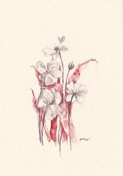fleur 02