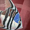 Бордовая река 