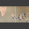 Цветущая сакура.   Cherry blossoms.