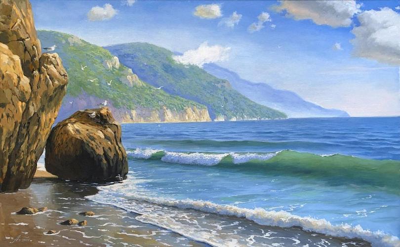 Дикий берег моря с чайками. 